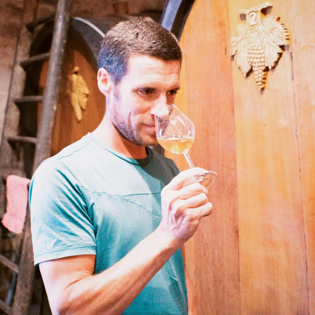 Vincent Gross, Jungwinzer, bei der Weinprobe